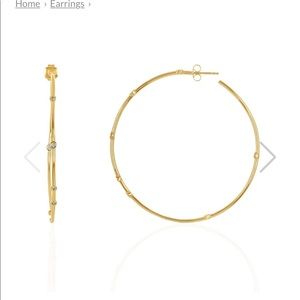 Melinda Maria 2" Big Ass Hoops - Gold White
